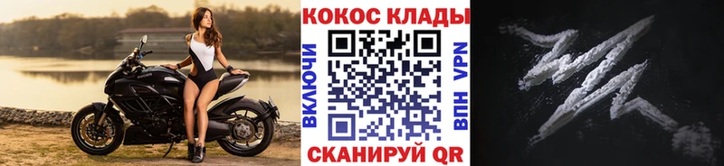 COCAIN Эквадор  kraken как войти  Ельня 