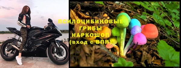 стафф Апатиты