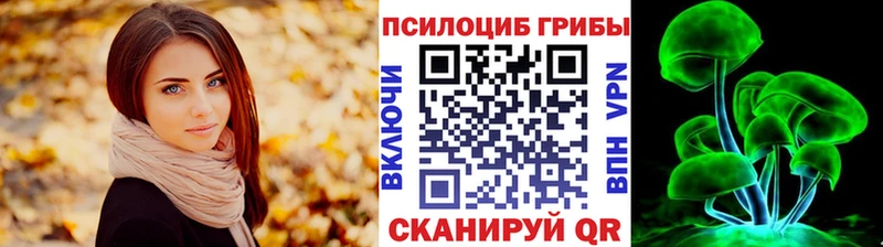 дарнет шоп  Ельня  Псилоцибиновые грибы Psilocybine cubensis 